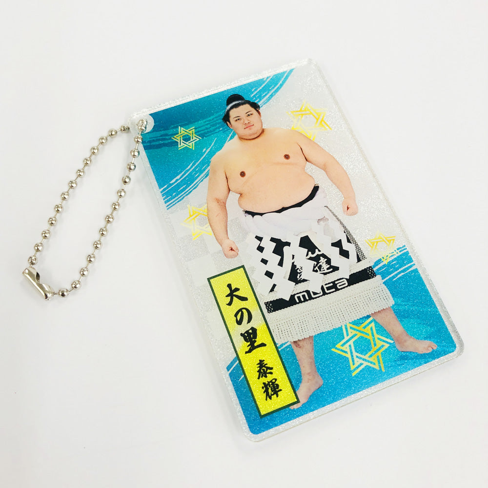 大相撲アクリルトレカ(全20種)
