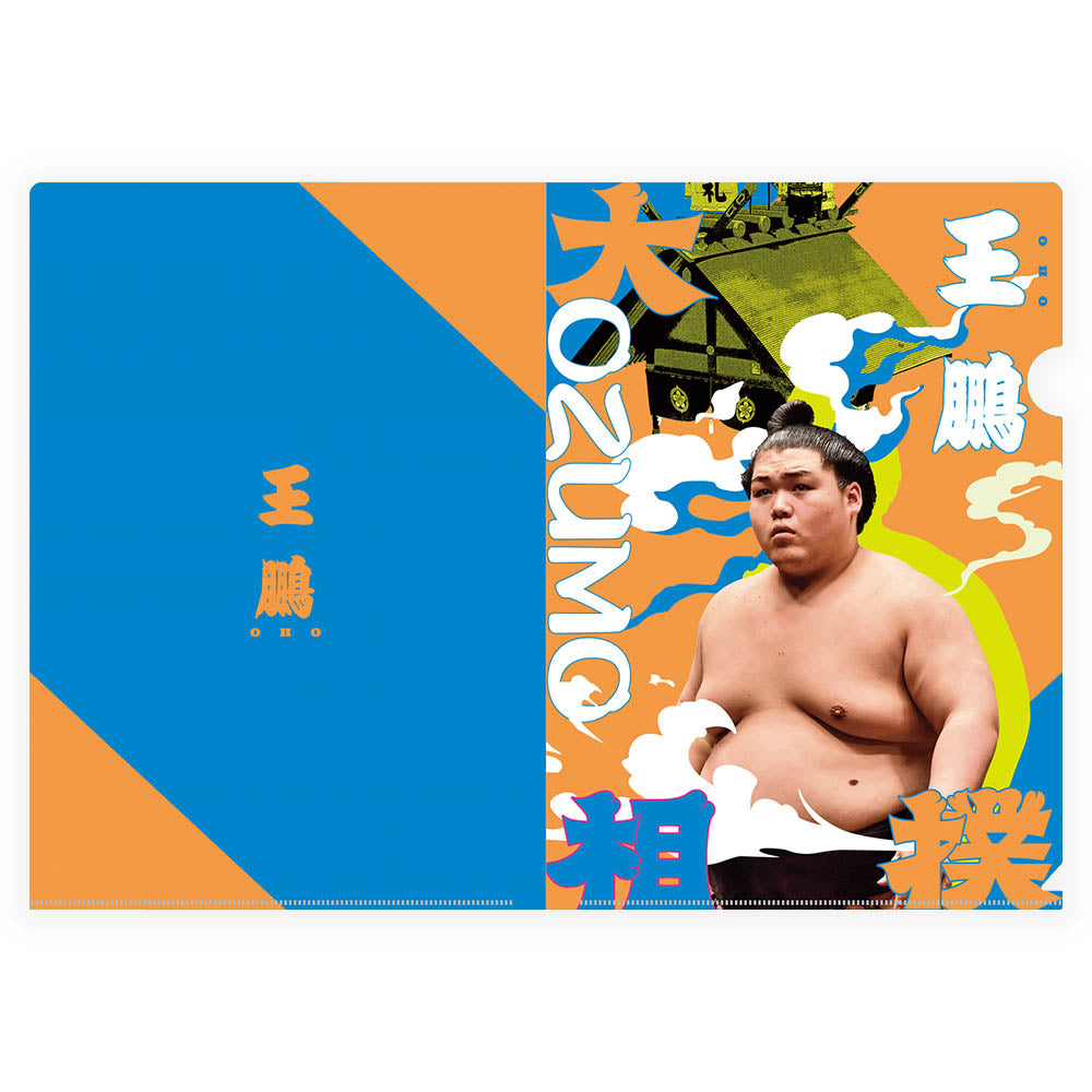 Designer Clear File (Oho)