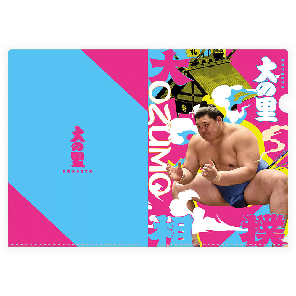 Designer clear file (Onosato)