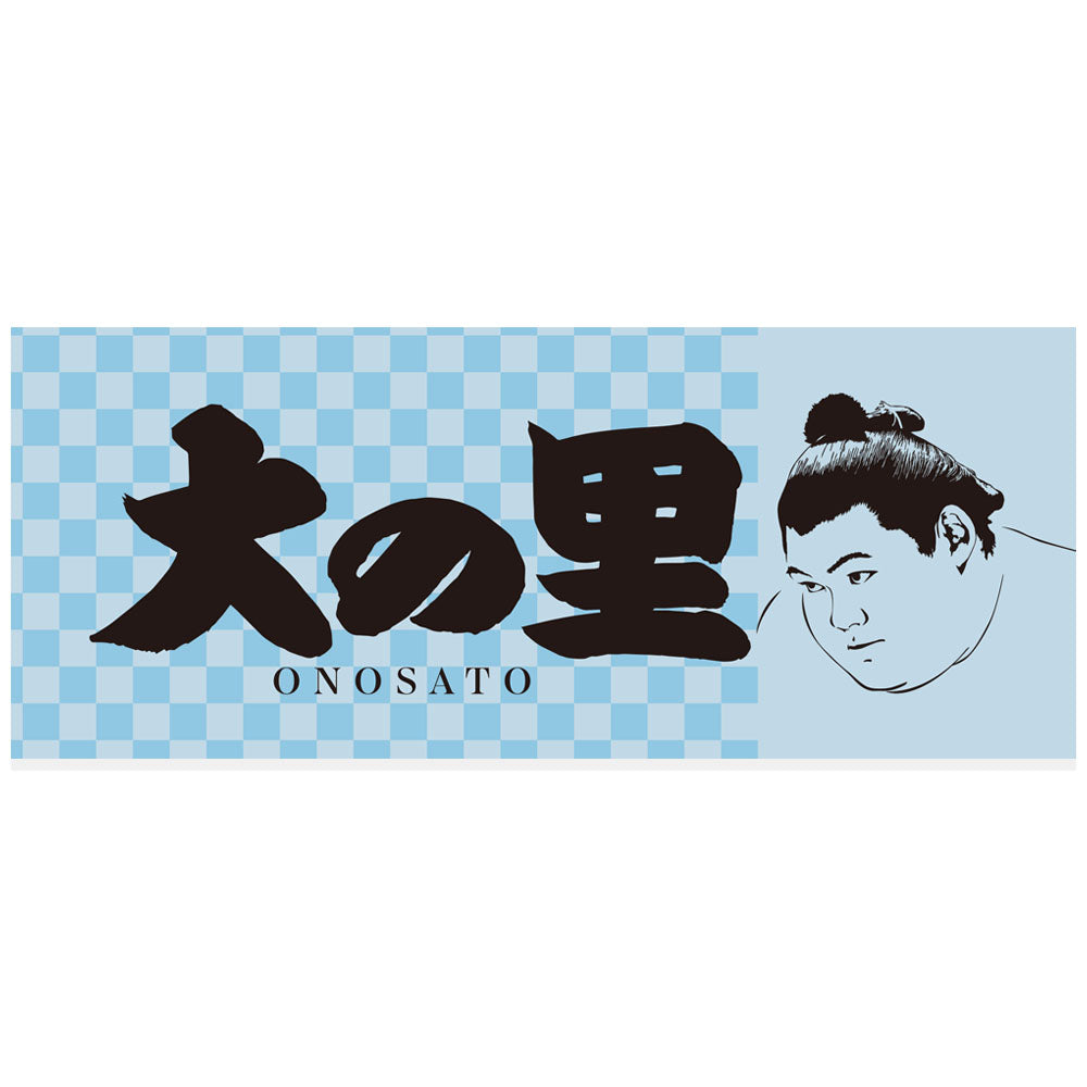 力士タオル大の里
