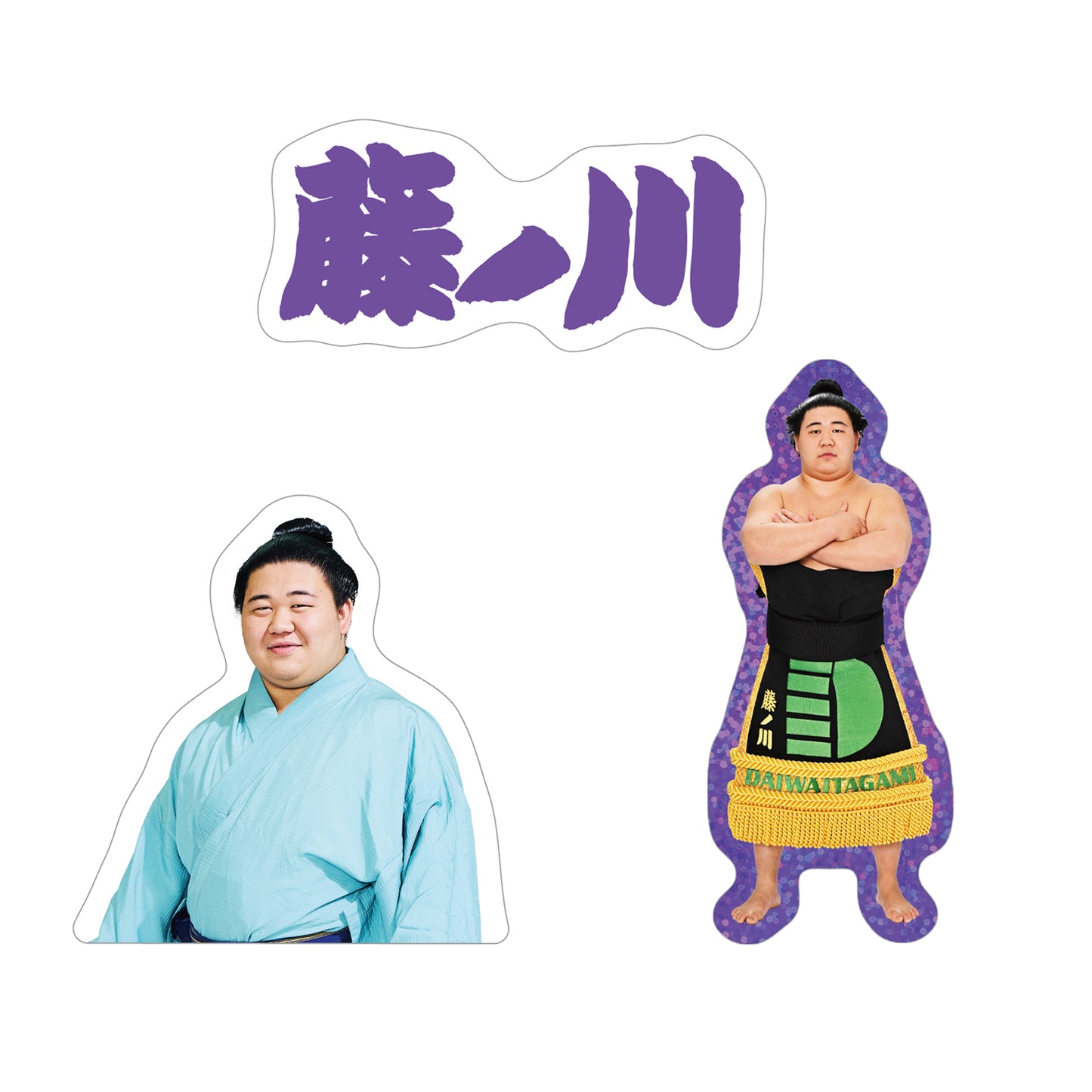 ごひいきセット(藤ノ川)