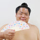 Folding fan "Sumo motif" (with case)