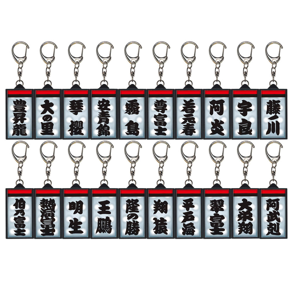 LED Message Board Style Keychain