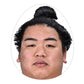 Hiradoumi Cosplay Face Pack