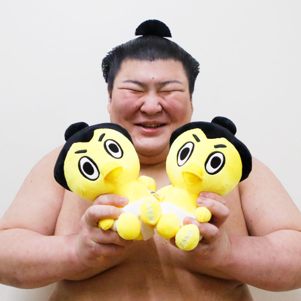 ひよの山と熱海富士