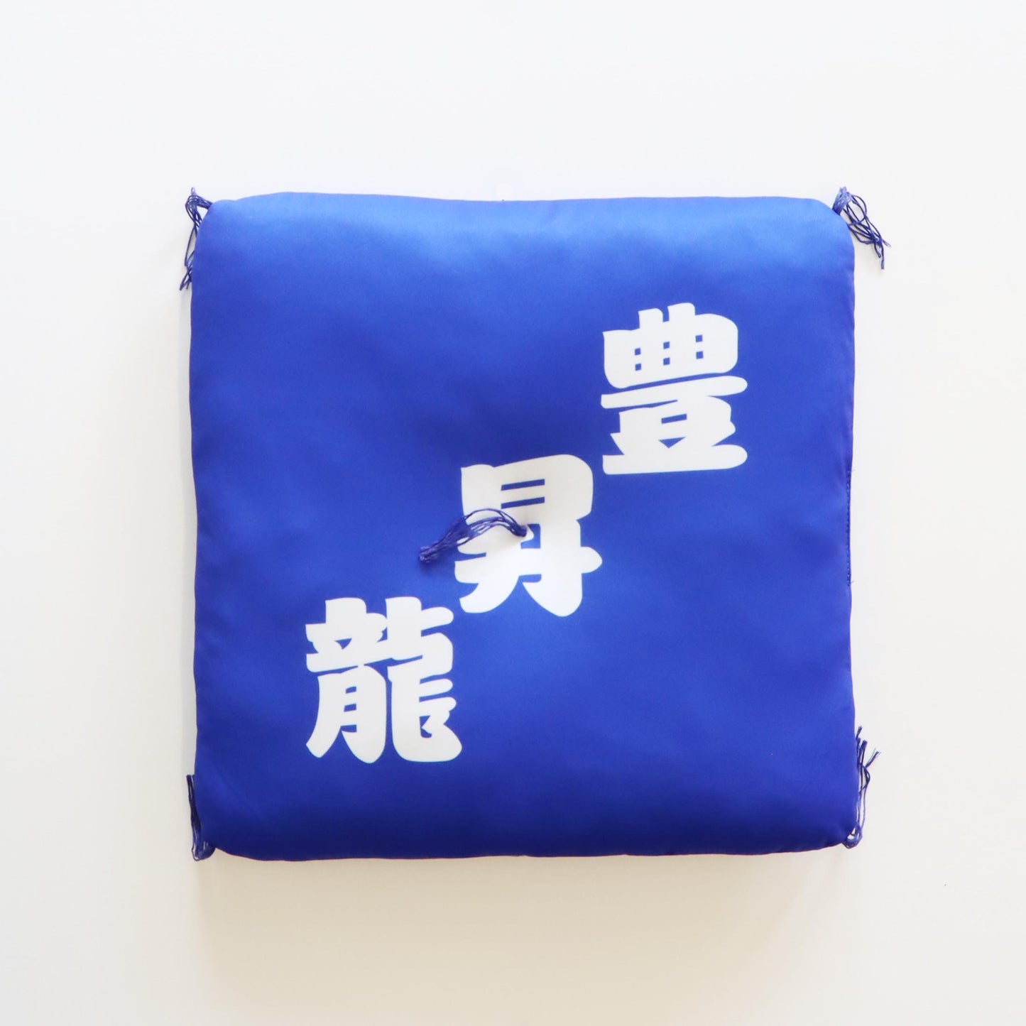 Sumo Wrestler Cushion (Hoshoryu)