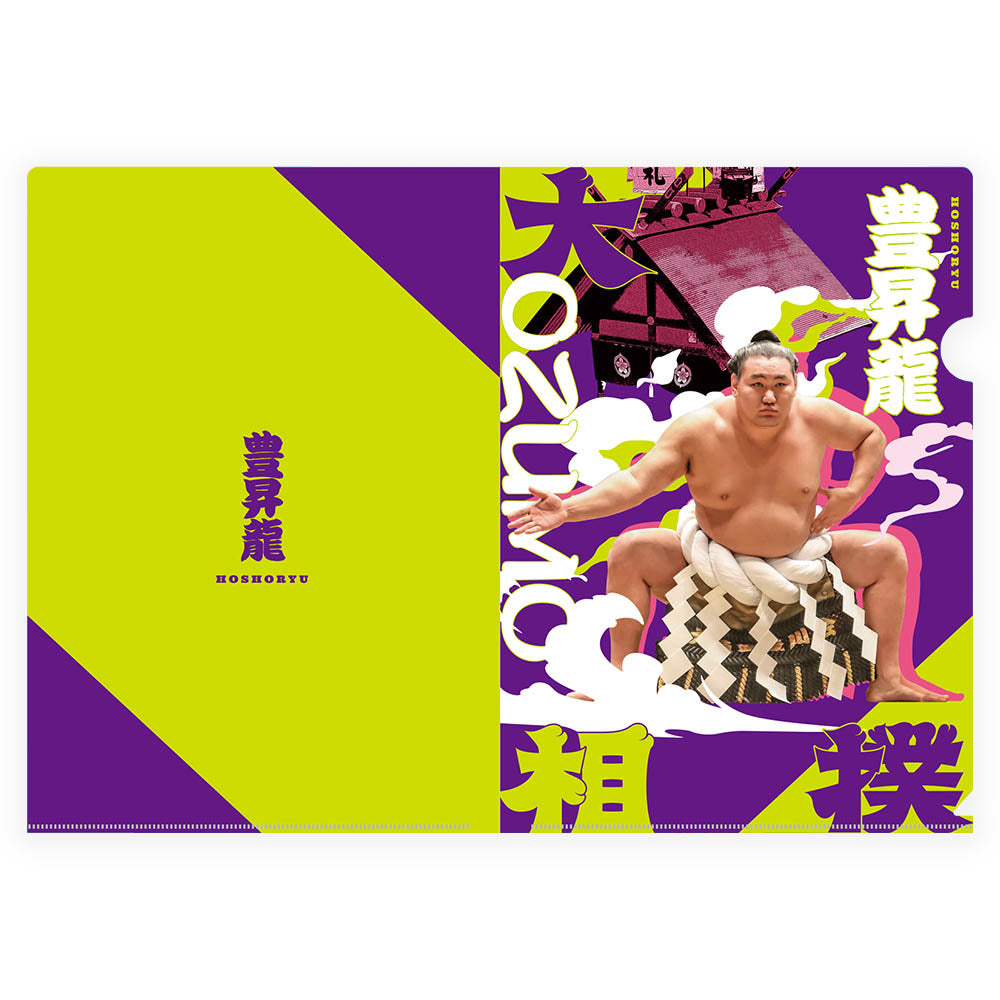 Designer clear file (Hoshoryu)