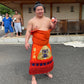 Sekitori Mascot Fujinokawa