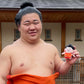 Sekitori Mascot Fujinokawa