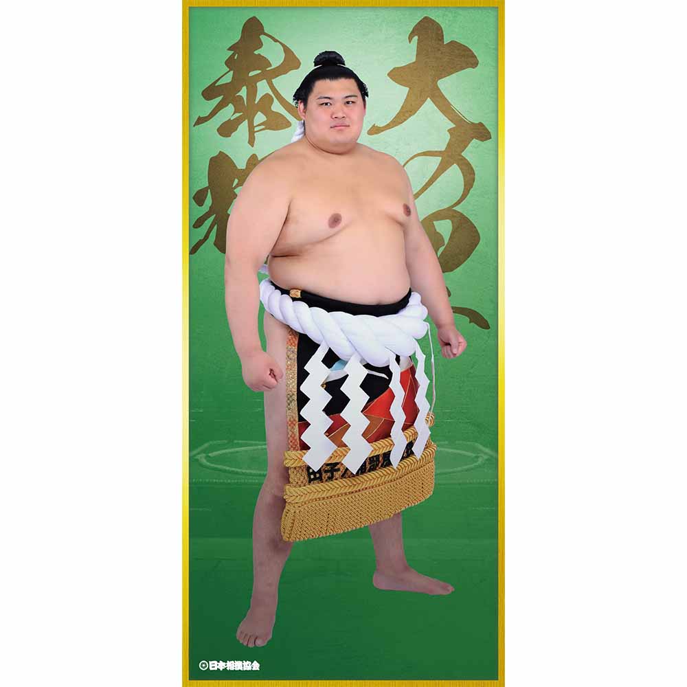ビッグサイズポスター