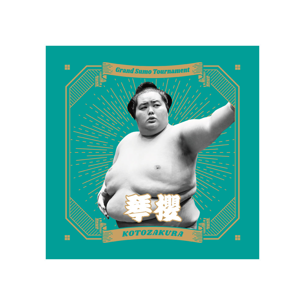 ごひいきセット(琴櫻)