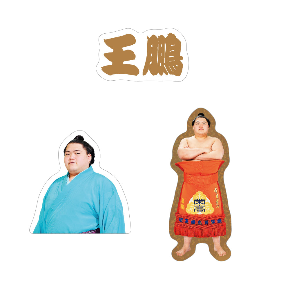 ごひいきセット(王鵬)