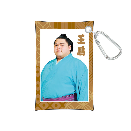 Multi-pouch with carabiner (Oho)