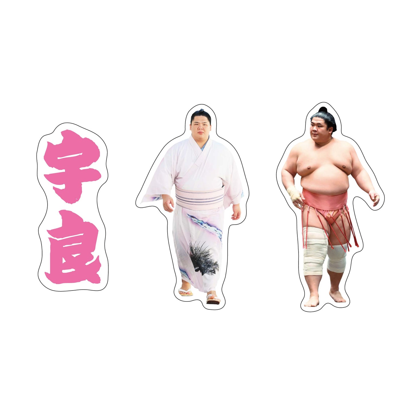 Rikishi Support Set (Ura)