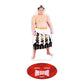 Rikishi Support Set (Hoshoryu)