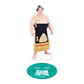 Rikishi Support Set (Kotozakura)