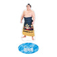 Rikishi Support Set (Wakatakakage)