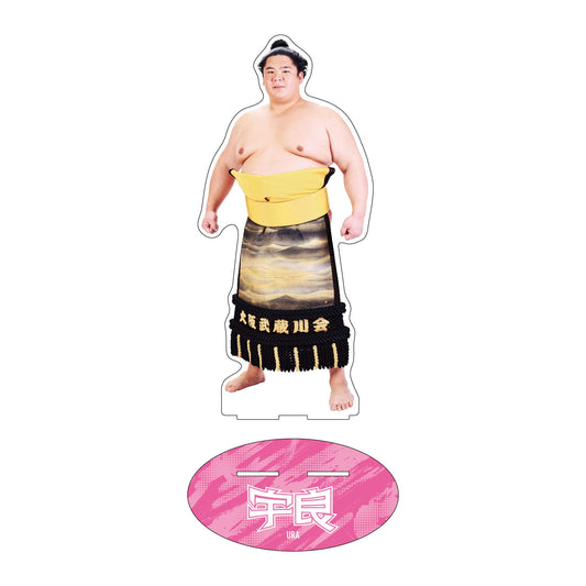 力士応援セット（宇良）