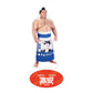 Rikishi Support Set (Takayasu)