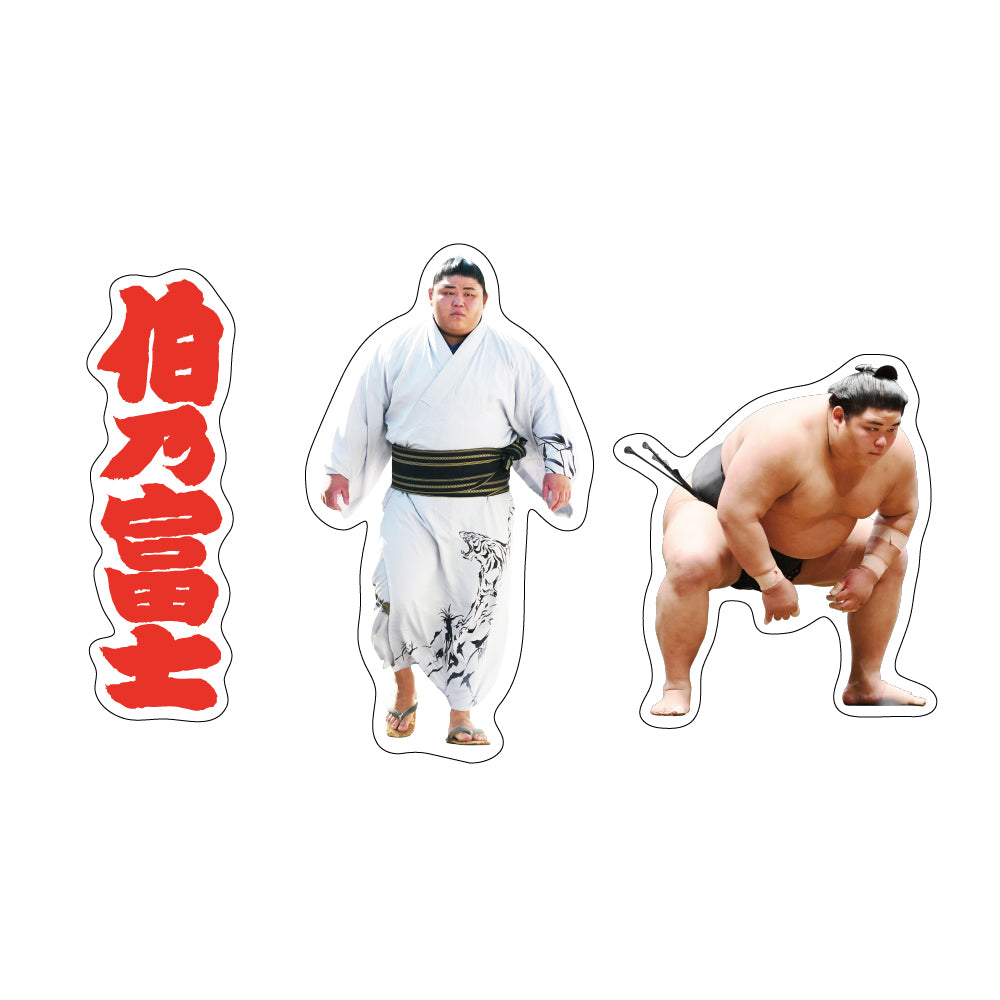 Rikishi Support Set (Hakunofuji)