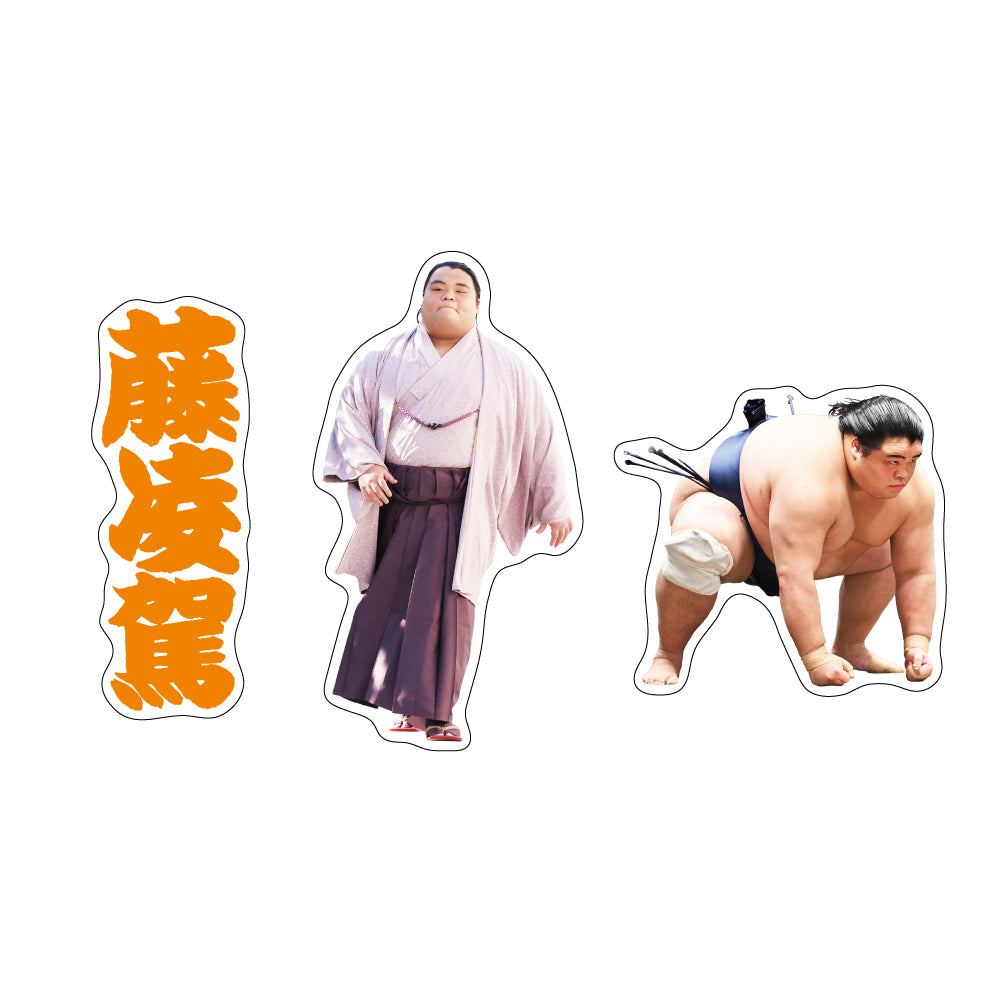 力士応援セット（藤凌駕）