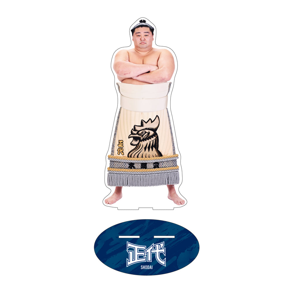 Rikishi Support Set (Shodai)