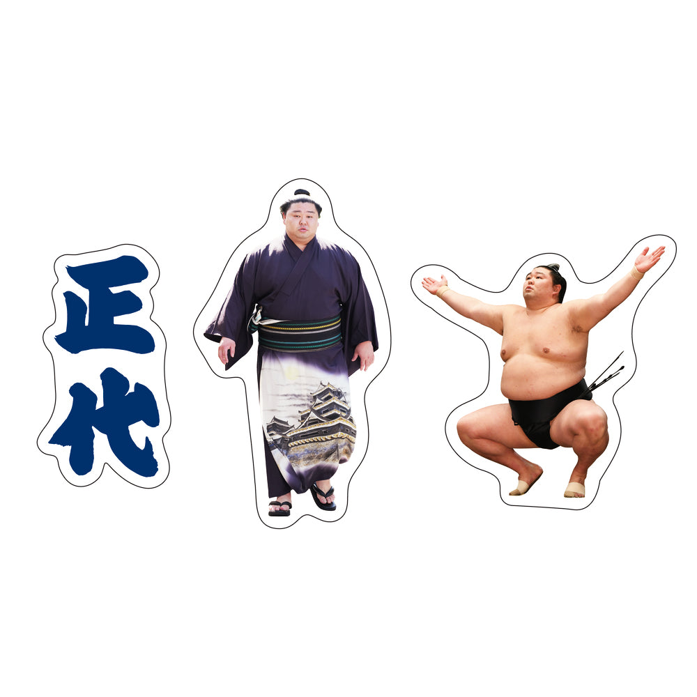 Rikishi Support Set (Shodai)