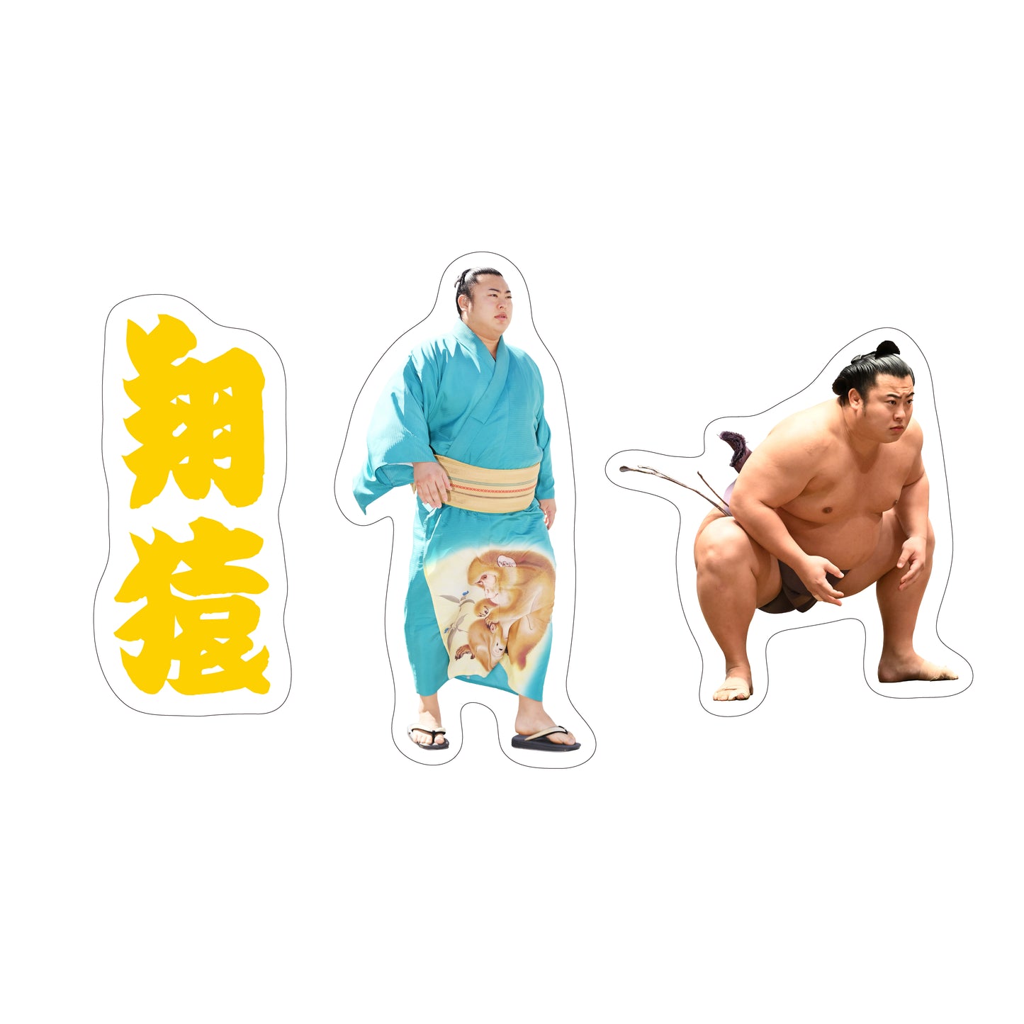力士応援セット（翔猿）