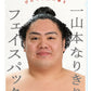 一山本なりきりフェイスパック