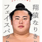 翔猿なりきりフェイスパック