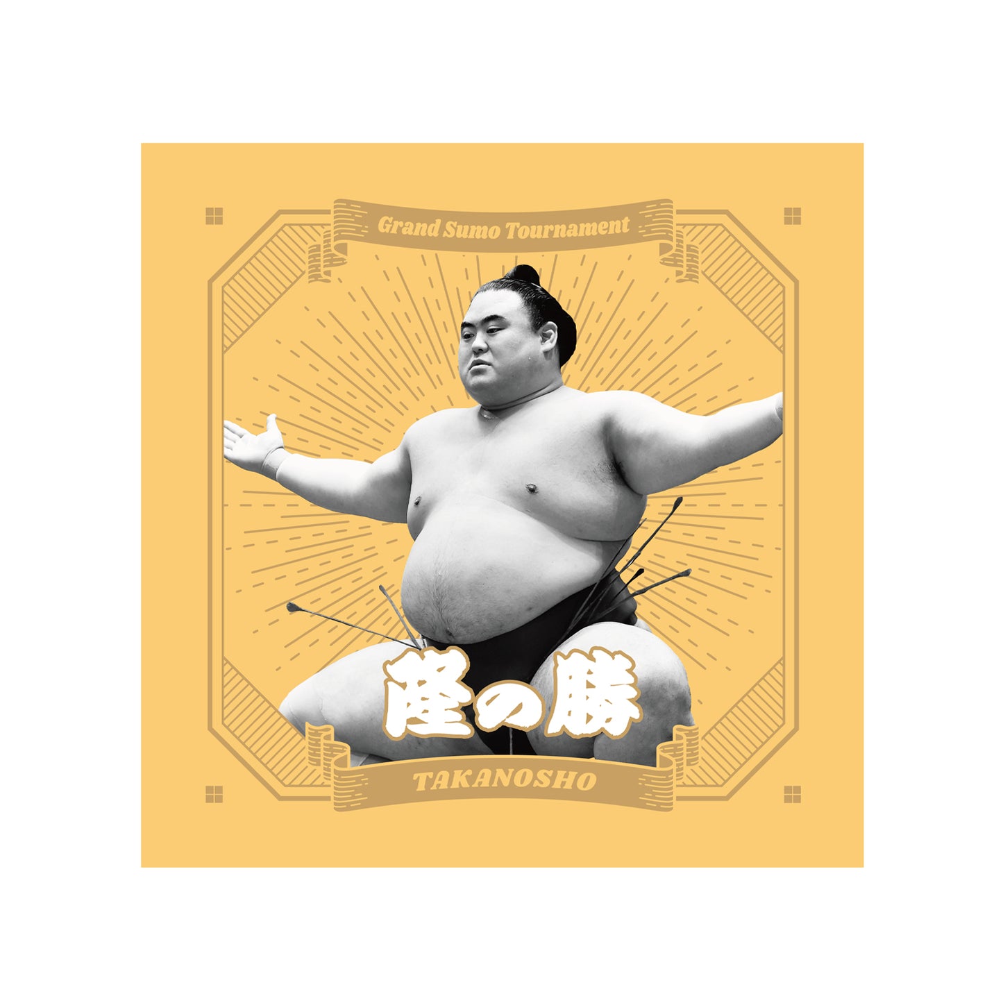 ごひいきセット(隆の勝)