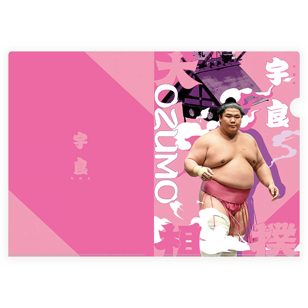 Designed clear file (Ura)