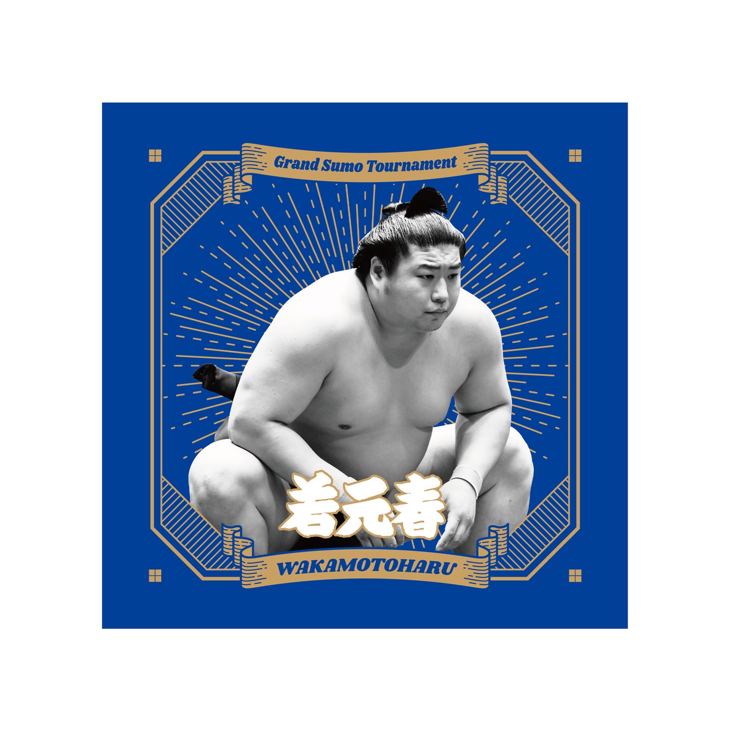 ごひいきセット(若元春)