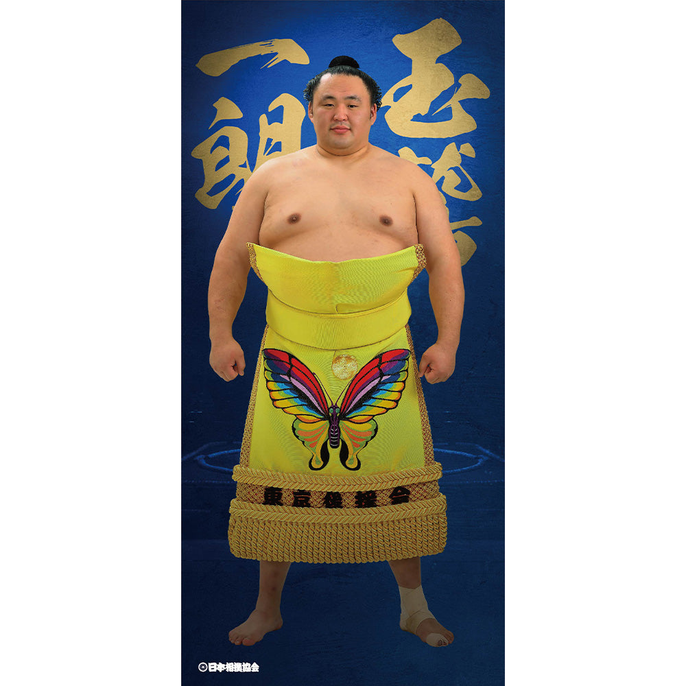 ビッグサイズポスター　玉鷲