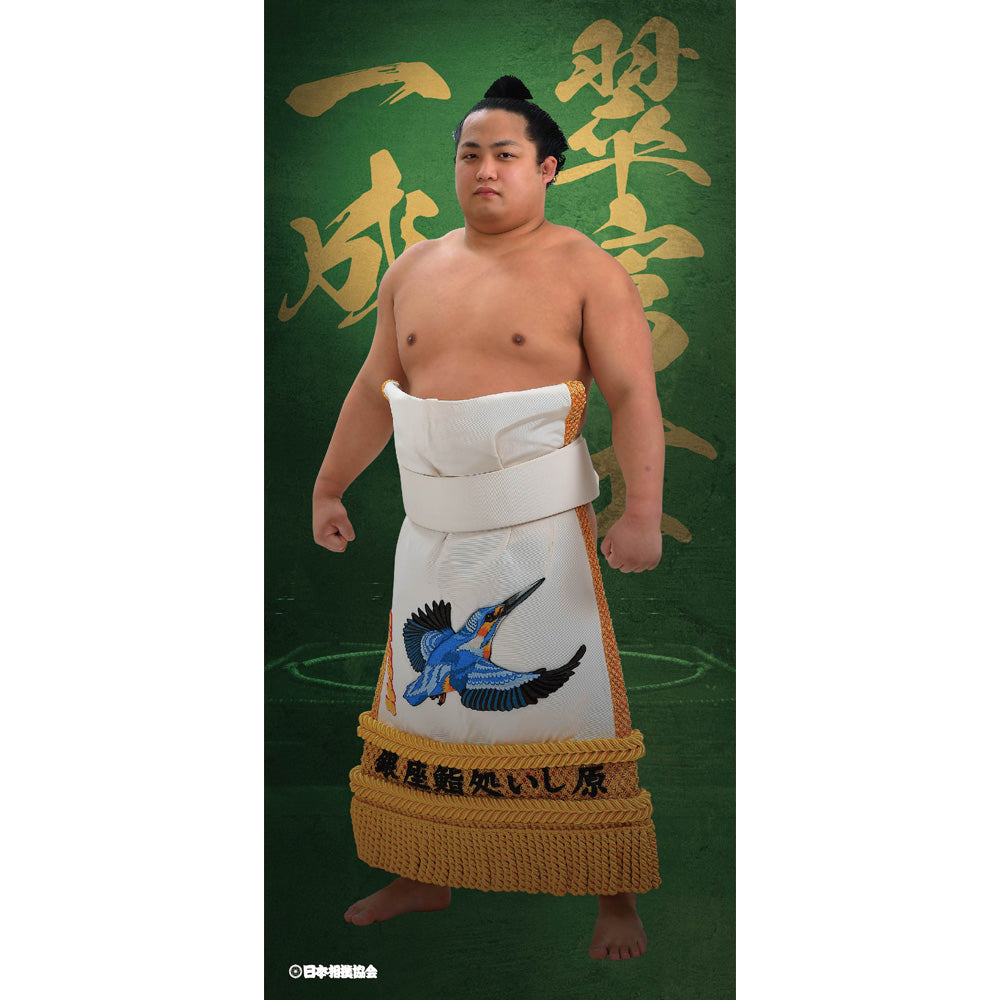 ビッグサイズポスター　翠富士