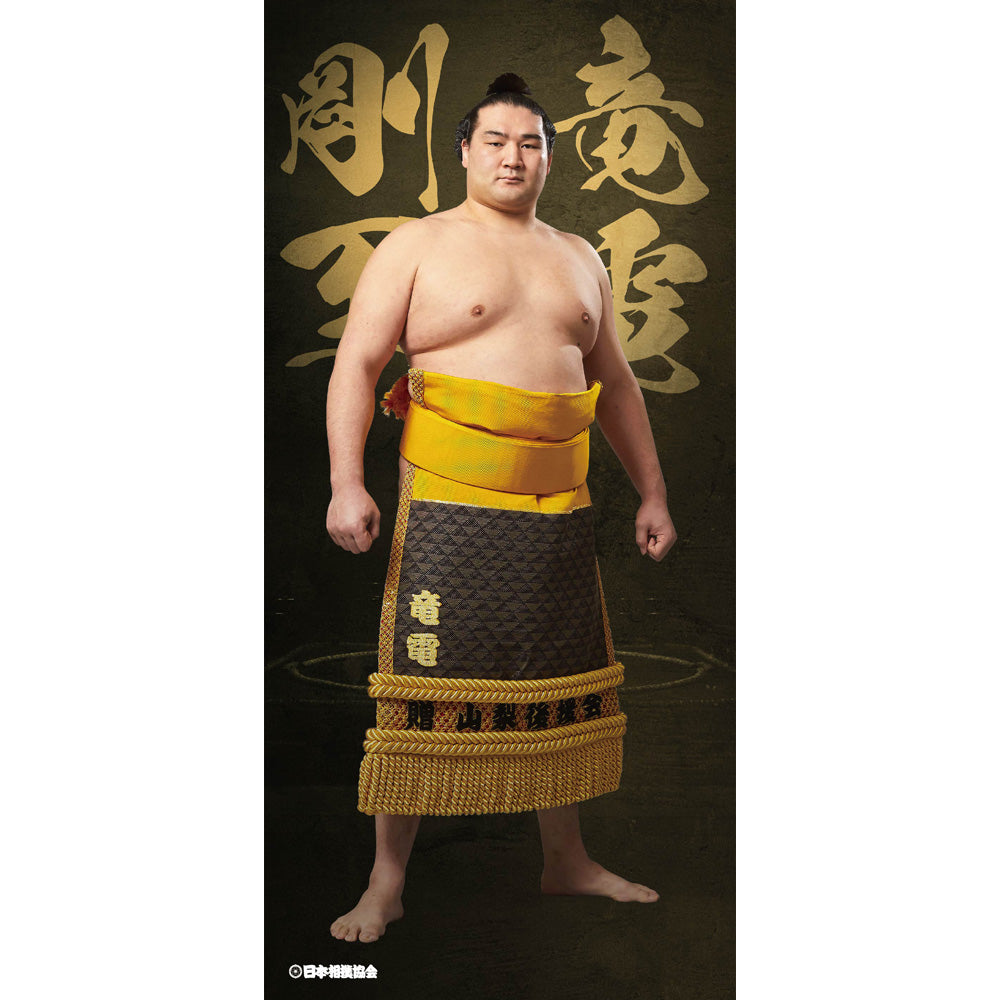 ビッグサイズポスター　竜電