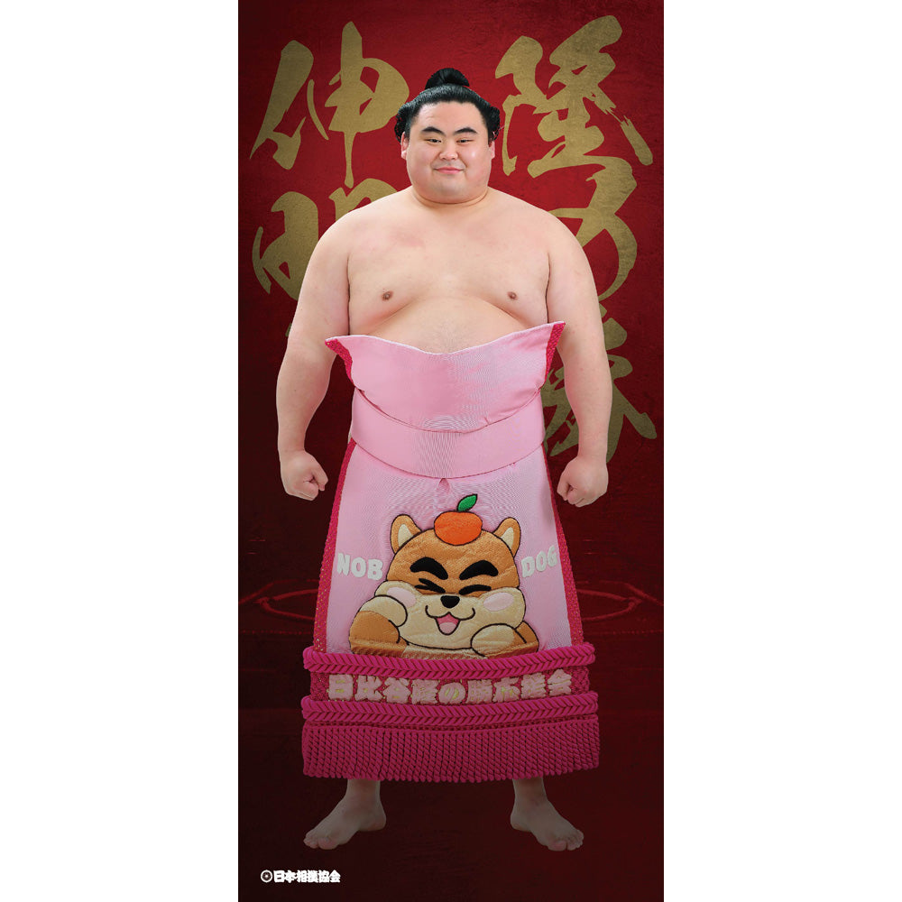 ビッグサイズポスター　隆の勝
