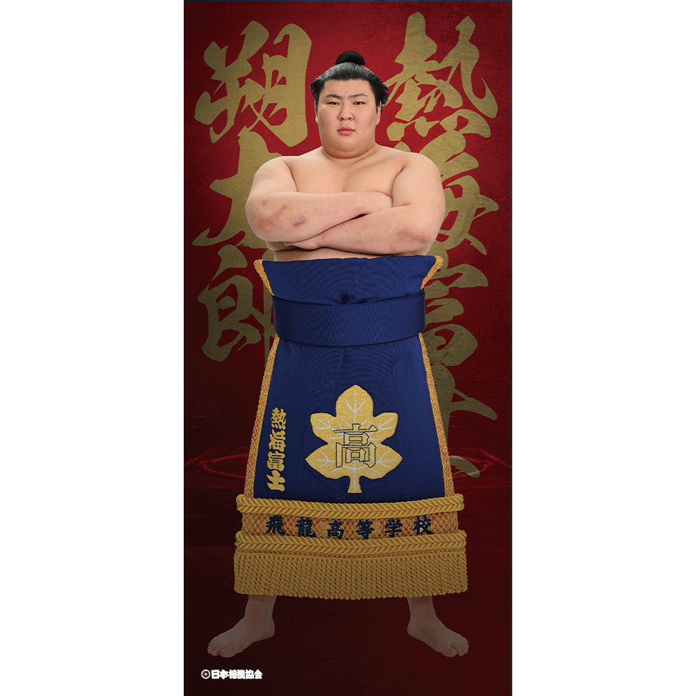 ビッグサイズポスター　熱海富士