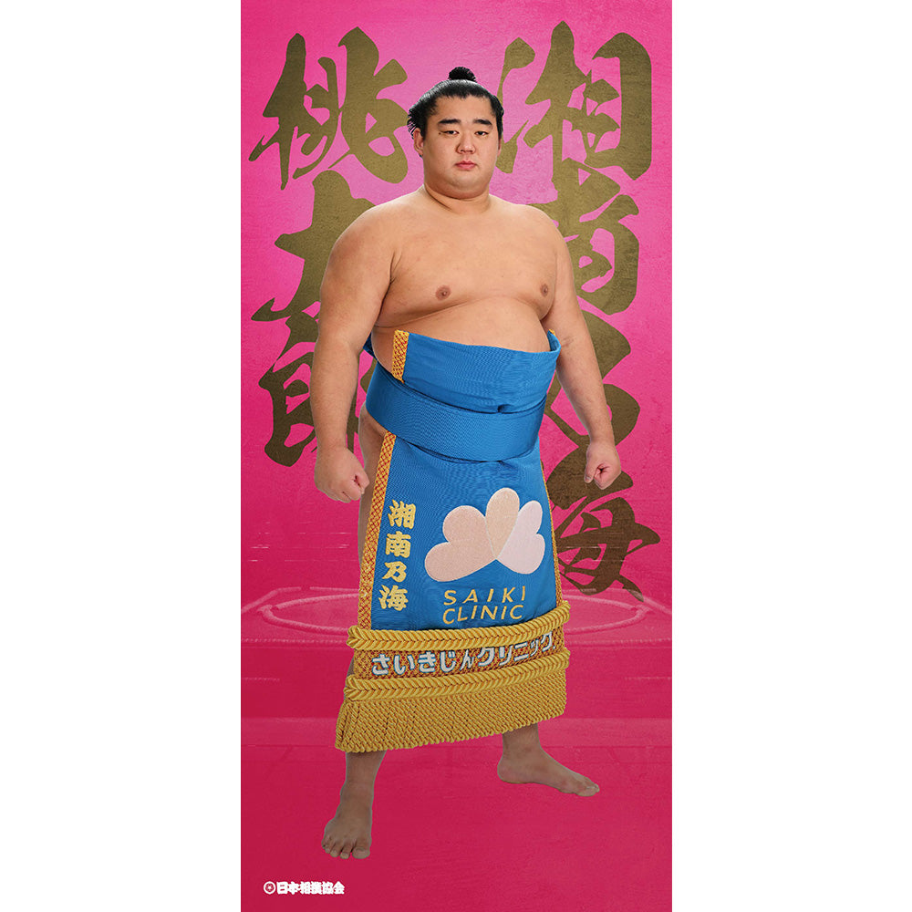 ビッグサイズポスター　湘南乃海