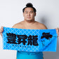 豊昇龍 応援 タオル