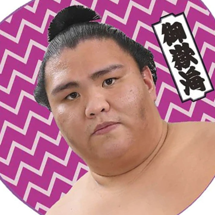 Cheering fan: Mitakeumi