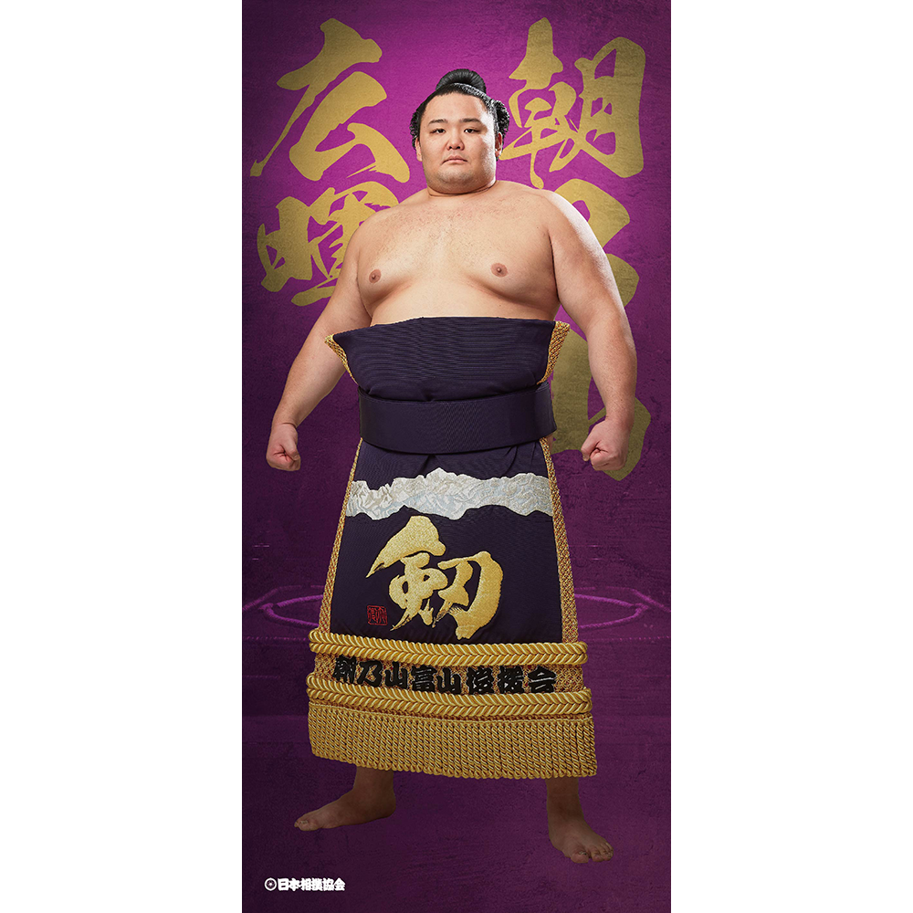 ビッグサイズポスター　朝乃山